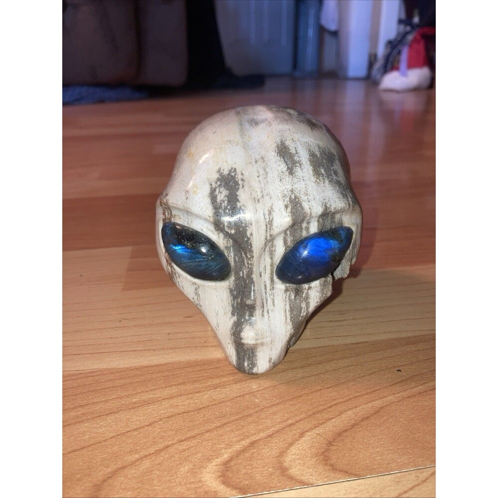 4" Petrified Wood Alien Head Carving Inlaid Blue Labradorite Eyes Stone UFO